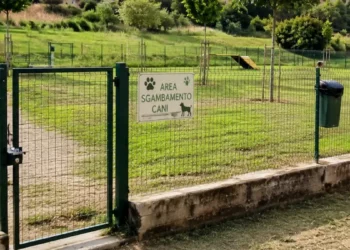 Area sgambamento per cani a Ragusa con recinzioni e ingresso interessati da lavori di manutenzione