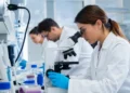 Ricercatori e specializzandi al lavoro in un laboratorio universitario, immagine rappresentativa delle borse di studio destinate agli specializzandi dell'area sanitaria non medica in Sicilia