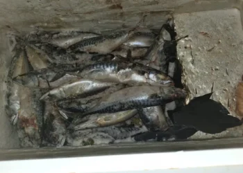 Polizia Locale di Comiso sequestra market abusivo in centro storico