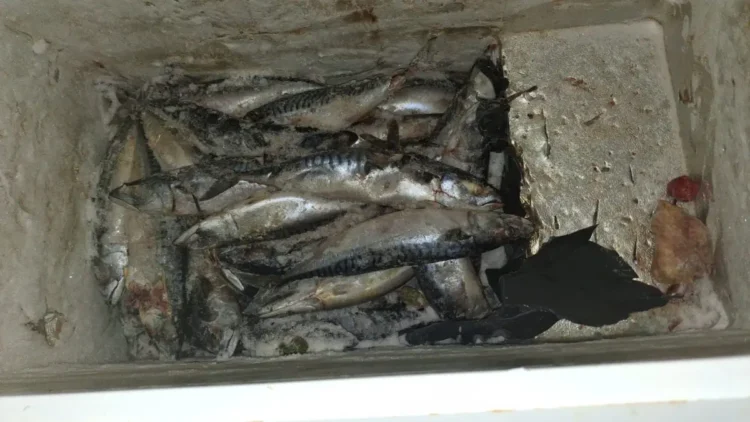 Polizia Locale di Comiso sequestra market abusivo in centro storico