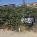 Auto abbandonata tra sterpaglie e vegetazione incolta in un’area degradata di Vittoria.