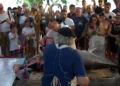A Marzamemi il Festival del Pesce Azzurro e Tonno in Tonnara 2026