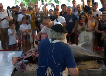 A Marzamemi il Festival del Pesce Azzurro e Tonno in Tonnara 2026