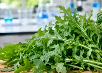 Mazzo di rucola fotografata in un contesto che richiama la ricerca sul metabolismo