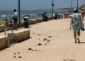 Deiezioni di cavallo sul lungomare di Donnalucata, lungo il percorso che costeggia la spiaggia di Scicli
