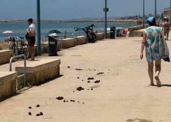 Deiezioni di cavallo sul lungomare di Donnalucata, lungo il percorso che costeggia la spiaggia di Scicli
