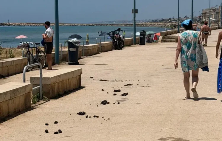 Deiezioni di cavallo sul lungomare di Donnalucata, lungo il percorso che costeggia la spiaggia di Scicli