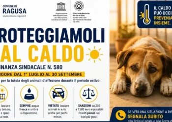 Ragusa, ordinanza contro il caldo: nuove regole per proteggere gli animali domestici