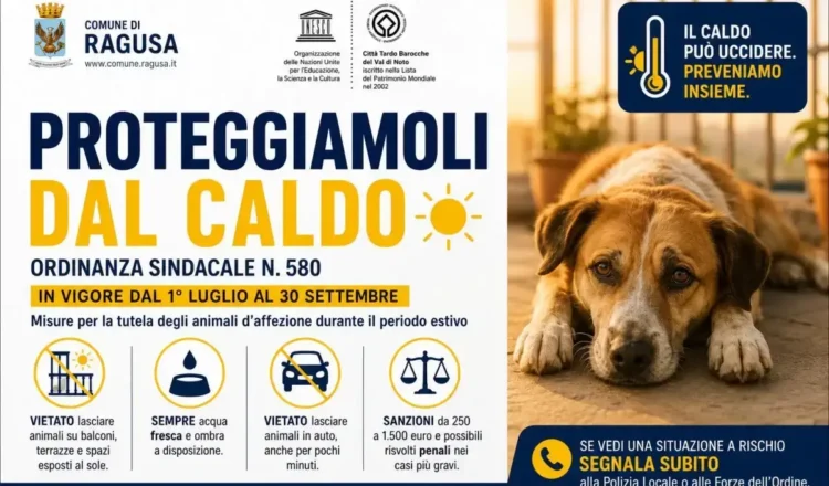 Ragusa, ordinanza contro il caldo: nuove regole per proteggere gli animali domestici