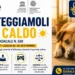 Ragusa, ordinanza contro il caldo: nuove regole per proteggere gli animali domestici
