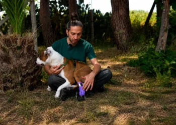 Il tecnico ortopedico Pietro Di Falco accarezza la pitbull Kim mostrando la protesi in TPU viola stampata in 3D applicata alla zampa posteriore sinistra, nel giardino del canile di Chiaramonte Gulfi