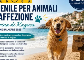 Cane sulla spiaggia di Marina di Ragusa con informazioni sull’area dedicata agli animali d’affezione per la stagione 2026