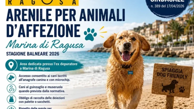 Cane sulla spiaggia di Marina di Ragusa con informazioni sull’area dedicata agli animali d’affezione per la stagione 2026