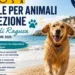 Cane sulla spiaggia di Marina di Ragusa con informazioni sull’area dedicata agli animali d’affezione per la stagione 2026