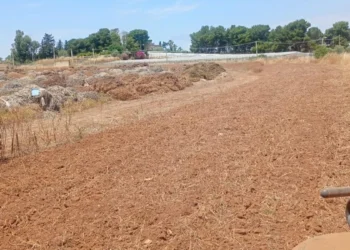 Riciclo Verde Perciata: gestione in sicurezza degli sfalci agricoli, tagliafuoco completati