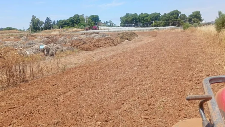 Riciclo Verde Perciata: gestione in sicurezza degli sfalci agricoli, tagliafuoco completati