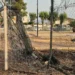 Rete metallica danneggiata all'ingresso dei campetti dei Gesuiti di Marina di Ragusa, attualmente chiusi e in attesa di interventi di riqualificazione