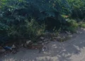 Rifiuti abbandonati ai margini della strada tra vegetazione incolta in un'area del centro storico di Vittoria