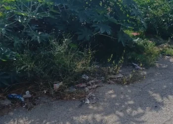 Rifiuti abbandonati ai margini della strada tra vegetazione incolta in un'area del centro storico di Vittoria