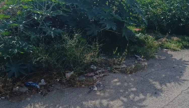 Rifiuti abbandonati ai margini della strada tra vegetazione incolta in un'area del centro storico di Vittoria