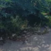 Rifiuti abbandonati ai margini della strada tra vegetazione incolta in un'area del centro storico di Vittoria