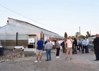 L'agrivoltaico Serra Archimede sviluppato nel Ragusano entra nel programma Innovit per la Silicon Valley