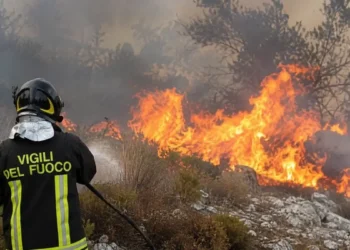 Un vigile del fuoco impegnato nello spegnimento di un incendio boschivo durante una giornata di caldo estremo, con fiamme e fumo che avvolgono la vegetazione.