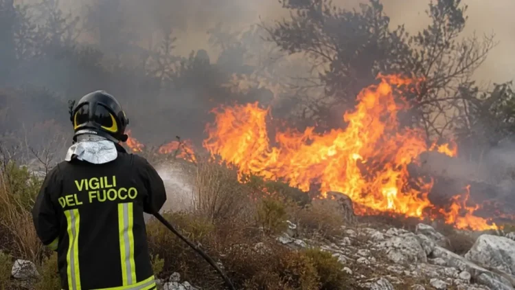 Un vigile del fuoco impegnato nello spegnimento di un incendio boschivo durante una giornata di caldo estremo, con fiamme e fumo che avvolgono la vegetazione.
