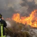 Un vigile del fuoco impegnato nello spegnimento di un incendio boschivo durante una giornata di caldo estremo, con fiamme e fumo che avvolgono la vegetazione.