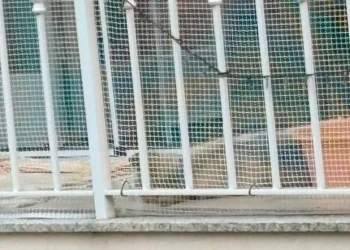 Balcone con rete di protezione e inferriata metallica, luogo dove è stato segnalato un cucciolo di Husky lasciato all’esterno.