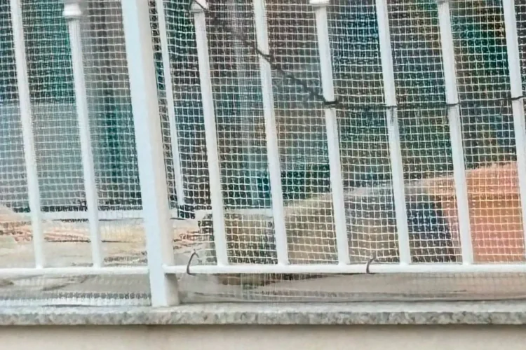 Balcone con rete di protezione e inferriata metallica, luogo dove è stato segnalato un cucciolo di Husky lasciato all’esterno.