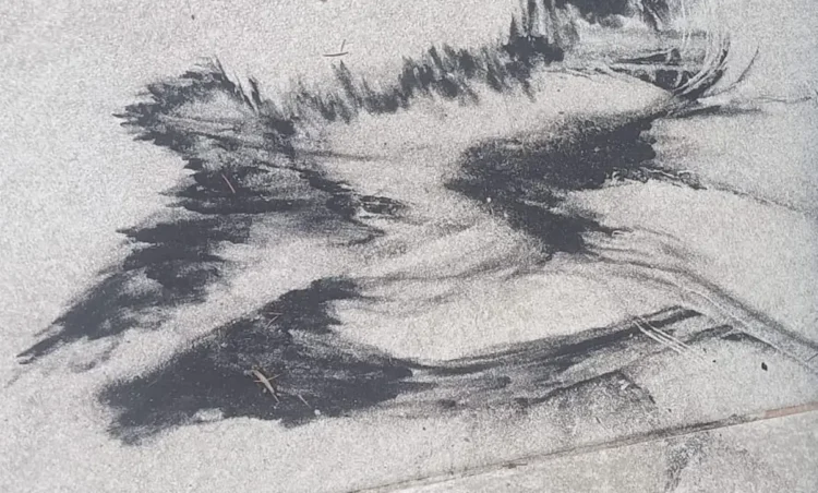 L'attività eruttiva del vulcano interessa anche la provincia di Ragusa: ricaduta di cenere in diversi Comuni Iblei