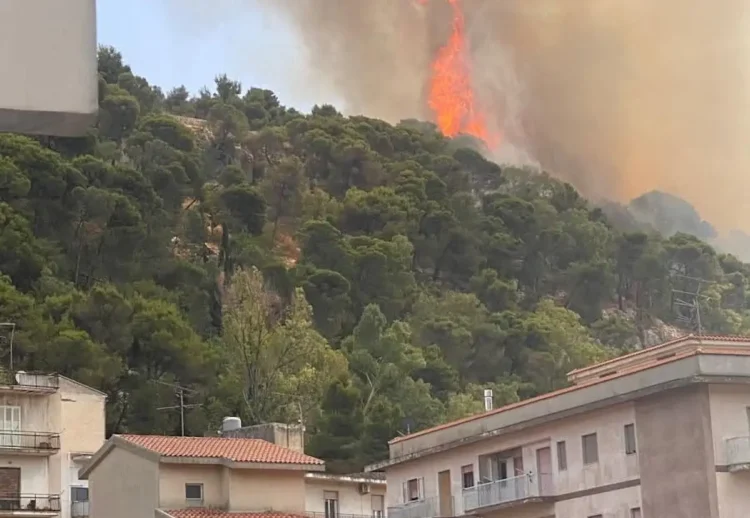 Vasto incendio sulla collina di Monserrato a Modica, con alte fiamme e una densa colonna di fumo sopra la pineta, osservata dalle abitazioni sottostanti
