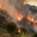 Vasto incendio in un'area collinare della Sicilia, con alte fiamme e una densa colonna di fumo che avvolgono alberi e vegetazione