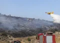 Intervento antincendio in Sicilia con mezzi di soccorso e fumo sulla vegetazione.