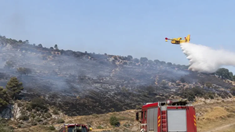 Intervento antincendio in Sicilia con mezzi di soccorso e fumo sulla vegetazione.