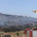 Intervento antincendio in Sicilia con mezzi di soccorso e fumo sulla vegetazione.