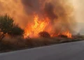 Incendio di vegetazione lungo la statale 514 a Chiaramonte Gulfi con fiamme e fumo a ridosso della carreggiata.