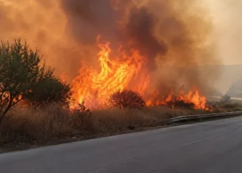 Incendio di vegetazione lungo la statale 514 a Chiaramonte Gulfi con fiamme e fumo a ridosso della carreggiata.
