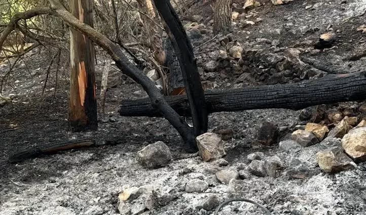 Alberi bruciati e terreno annerito sulla collina di Monserrato a Modica dopo l'incendio, con l'area interessata dalle operazioni di bonifica.