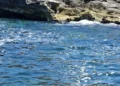 Scorcio del mare di Cava d'Aliga con acqua limpida e costa rocciosa sullo sfondo