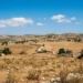 Paesaggio ibleo in estate con cielo azzurro e nuvole sparse