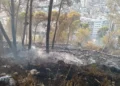 Area boschiva bruciata sulla collina di Monserrato a Modica dopo l'incendio, con focolai in fase di bonifica e la città sullo sfondo