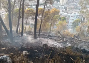 Area boschiva bruciata sulla collina di Monserrato a Modica dopo l'incendio, con focolai in fase di bonifica e la città sullo sfondo