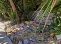 Rifiuti sparsi tra la vegetazione nell'area verde del quartiere Dente a Modica, oggetto della denuncia del Movimento 5 Stelle per degrado e mancata manutenzione.