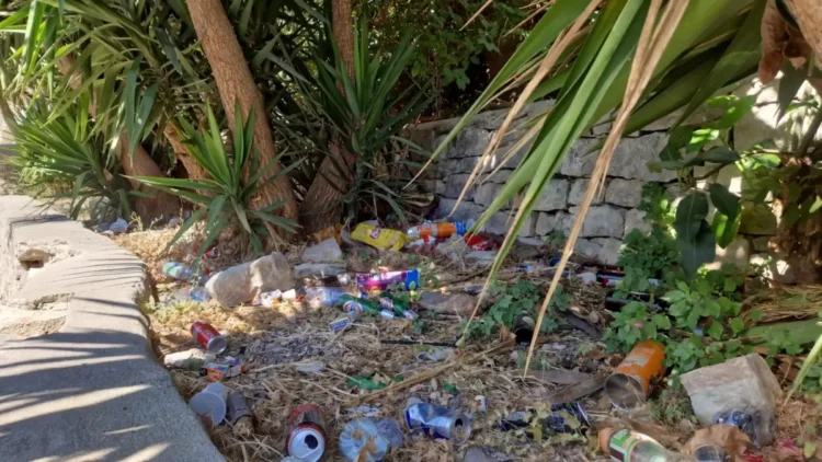 Rifiuti sparsi tra la vegetazione nell'area verde del quartiere Dente a Modica, oggetto della denuncia del Movimento 5 Stelle per degrado e mancata manutenzione.