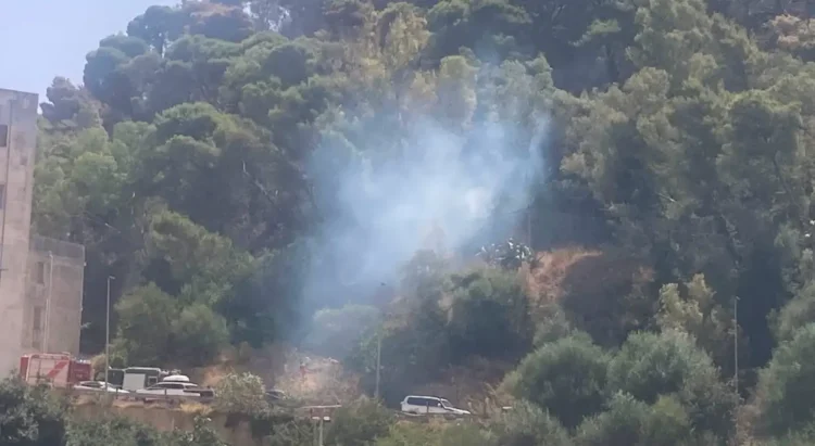 Colonna di fumo tra gli alberi della collina di Monserrato a Modica, dove Vigili del Fuoco e Corpo Forestale presidiano l'area dopo alcune riprese dell'incendio.