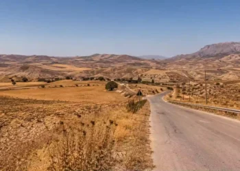 Paesaggio siciliano assolato con terreno arido e vegetazione secca durante un’ondata di calore.