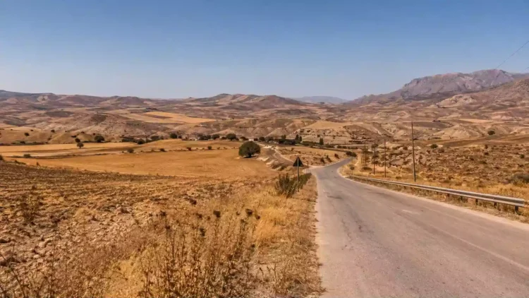 Paesaggio siciliano assolato con terreno arido e vegetazione secca durante un’ondata di calore.