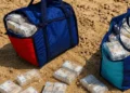 Due borse piene di pacchi di banconote avvolti nel cellophane appoggiate sulla sabbia con altri pacchi sparsi intorno